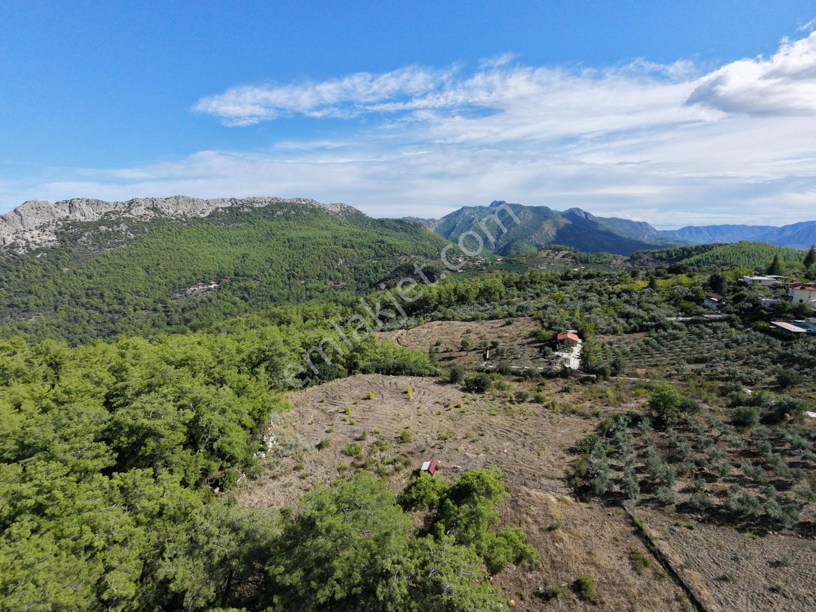 Msi Gayrimenkul'den Olympos Yazırda Satılık Müstakil Tarla — fotoğraf 8
