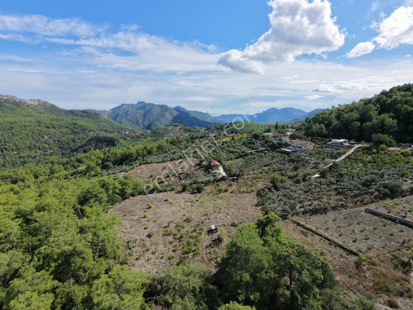 Msi Gayrimenkul'den Olympos Yazırda Satılık Müstakil Tarla — fotoğraf 9