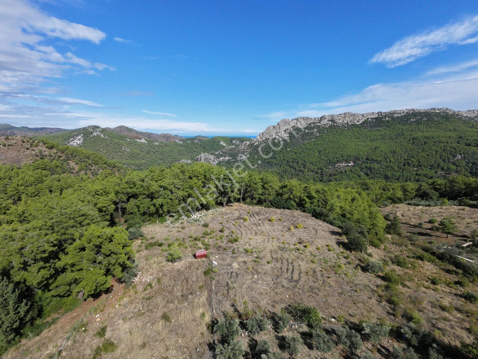 Msi Gayrimenkul'den Olympos Yazırda Satılık Müstakil Tarla — fotoğraf 10