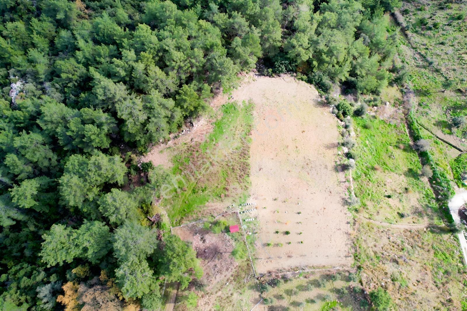 Msi Gayrimenkul'den Olympos Yazırda Satılık Müstakil Tarla — fotoğraf 11
