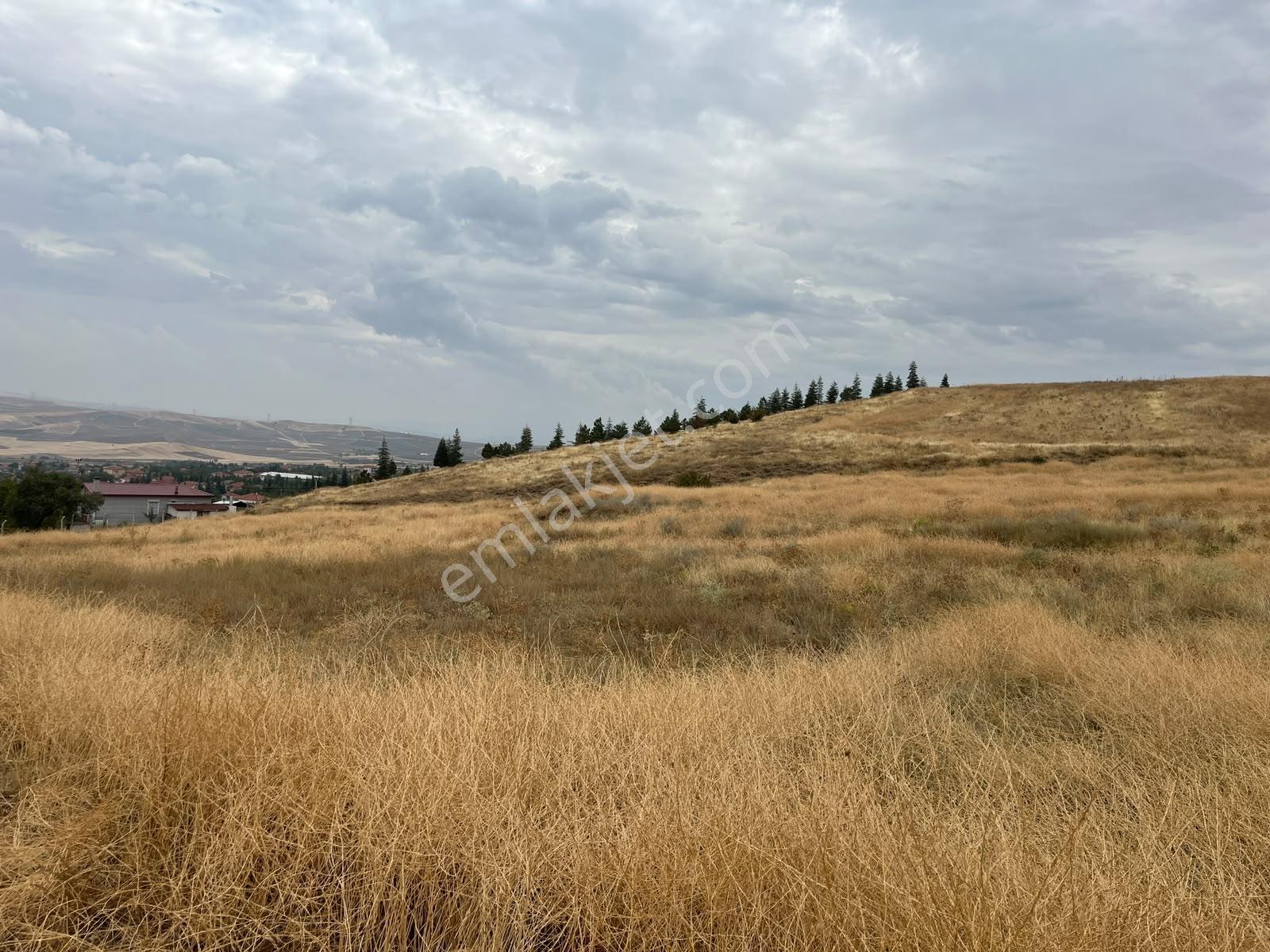 Nova'dan Hacılar Sağlıkta 624 M2 Fırsat Arsa — fotoğraf 3