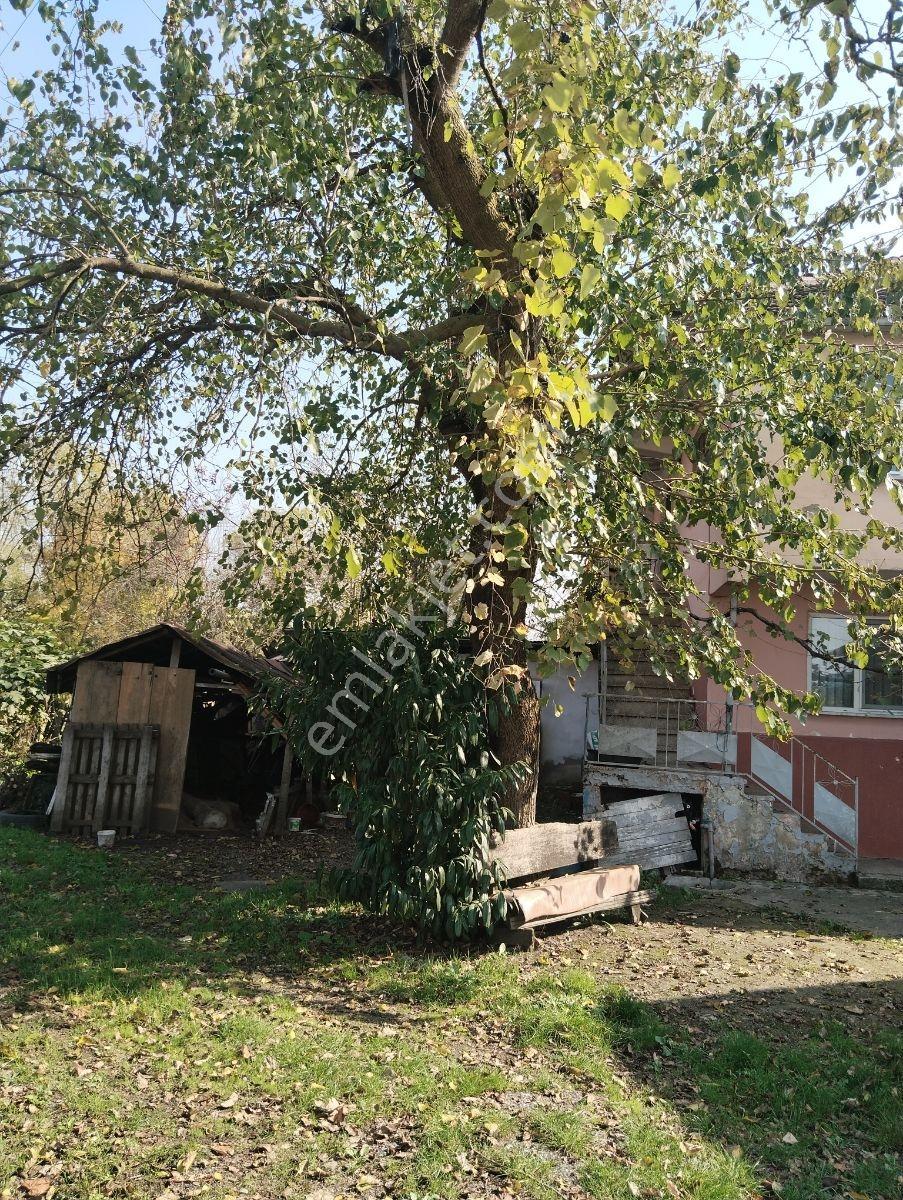 Düzce Hacıaliler Mevki Kaçırılmayacak Yatırımlık Kelepir Arsa — fotoğraf 12