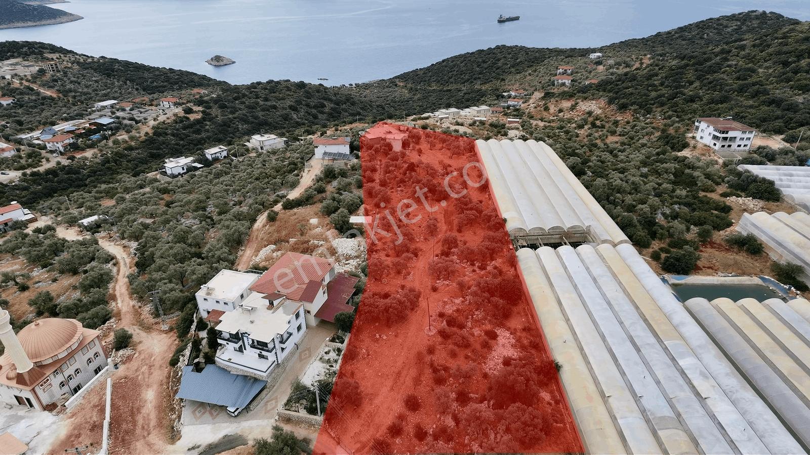 Msi Gayrimenkul'den Satılık 2 Adet Villa Ve Arsası — fotoğraf 16