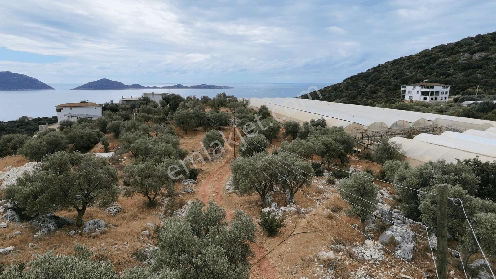 Msi Gayrimenkul'den Satılık 2 Adet Villa Ve Arsası — fotoğraf 17
