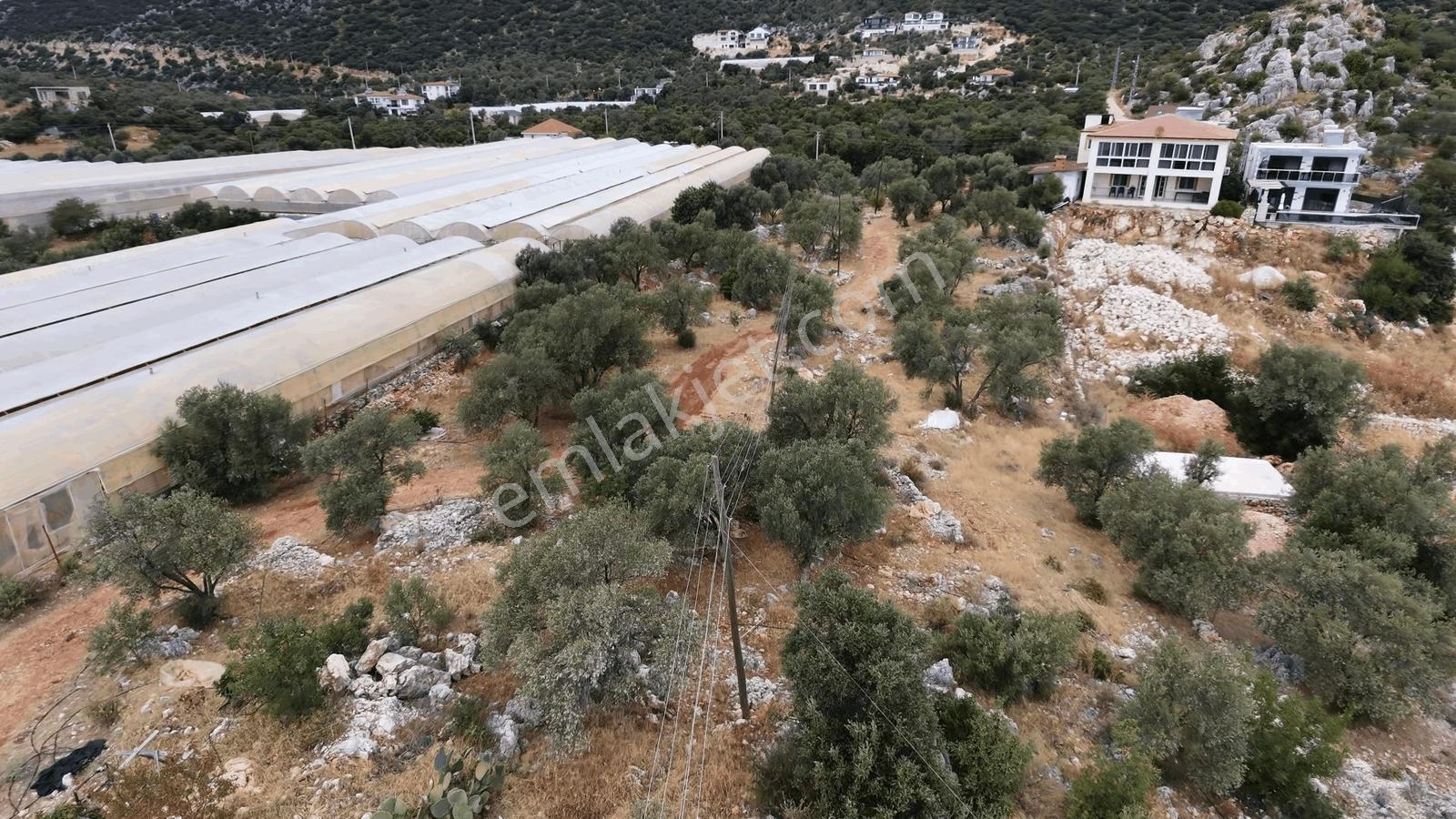 Msi Gayrimenkul'den Satılık 2 Adet Villa Ve Arsası — fotoğraf 18