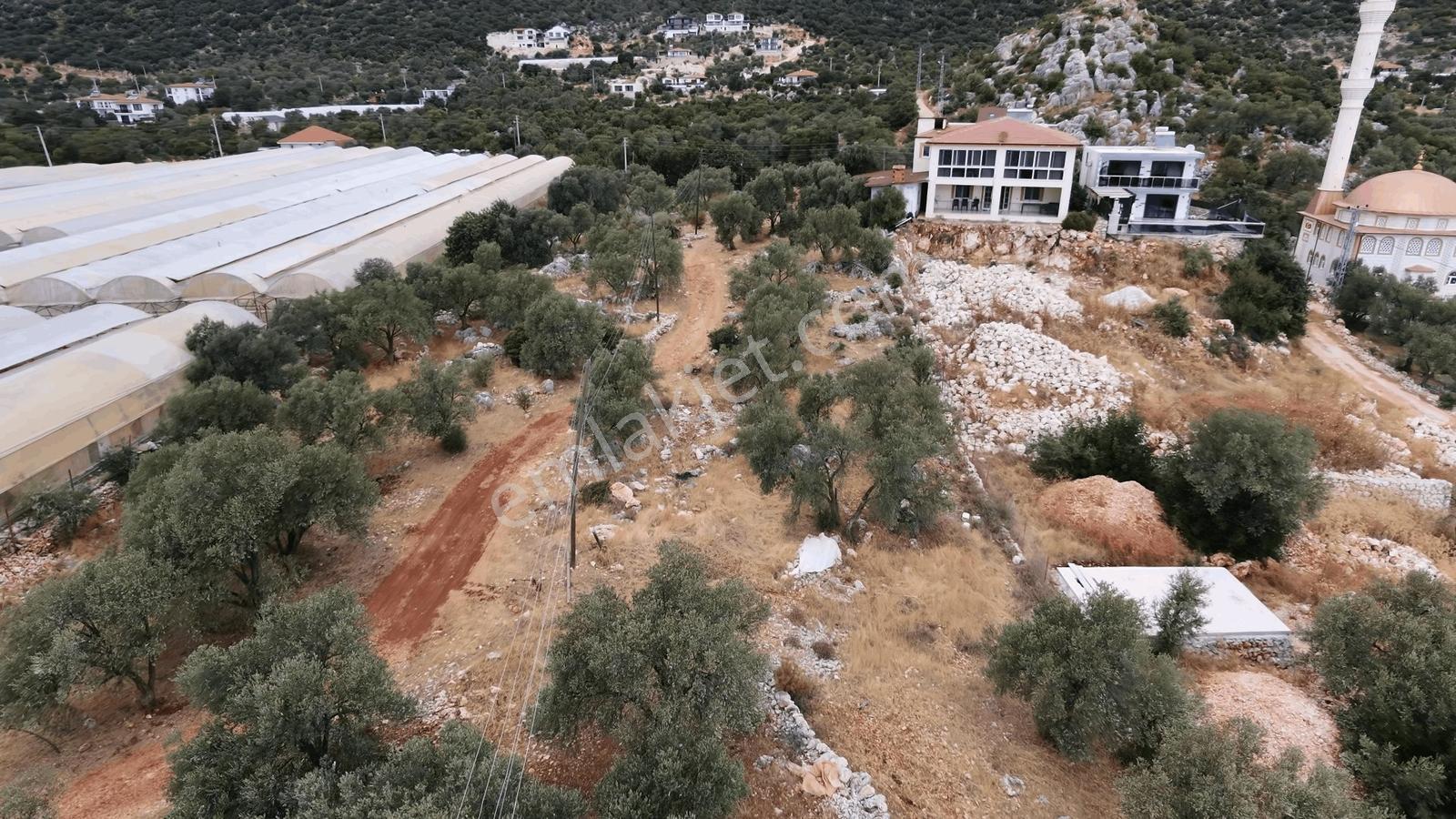 Msi Gayrimenkul'den Satılık 2 Adet Villa Ve Arsası — fotoğraf 19