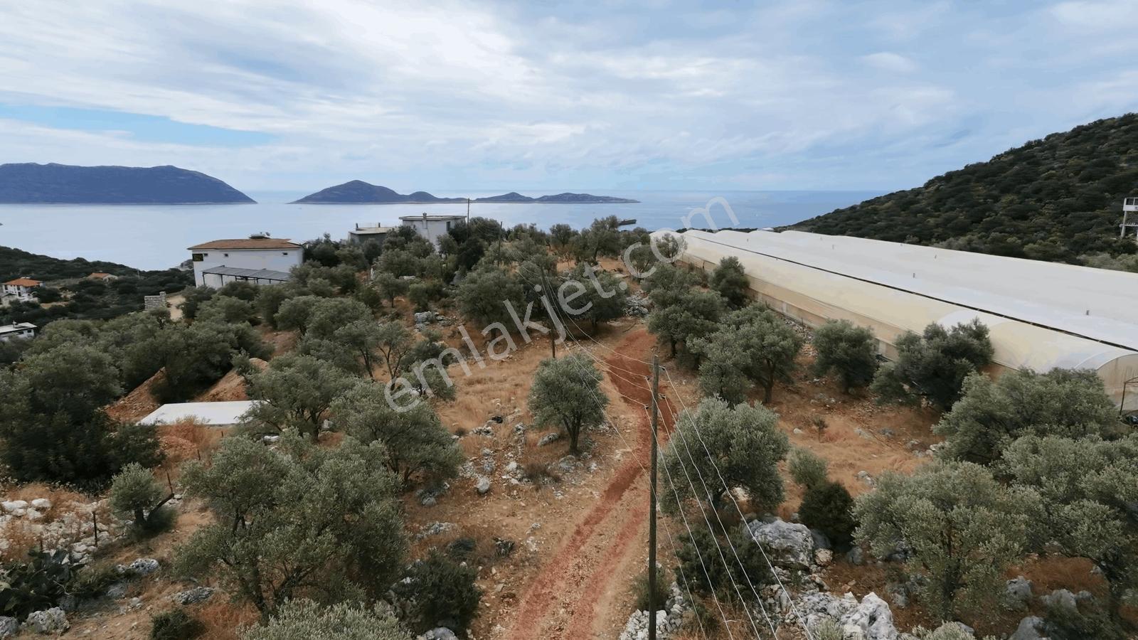 Msi Gayrimenkul'den Satılık 2 Adet Villa Ve Arsası — fotoğraf 21