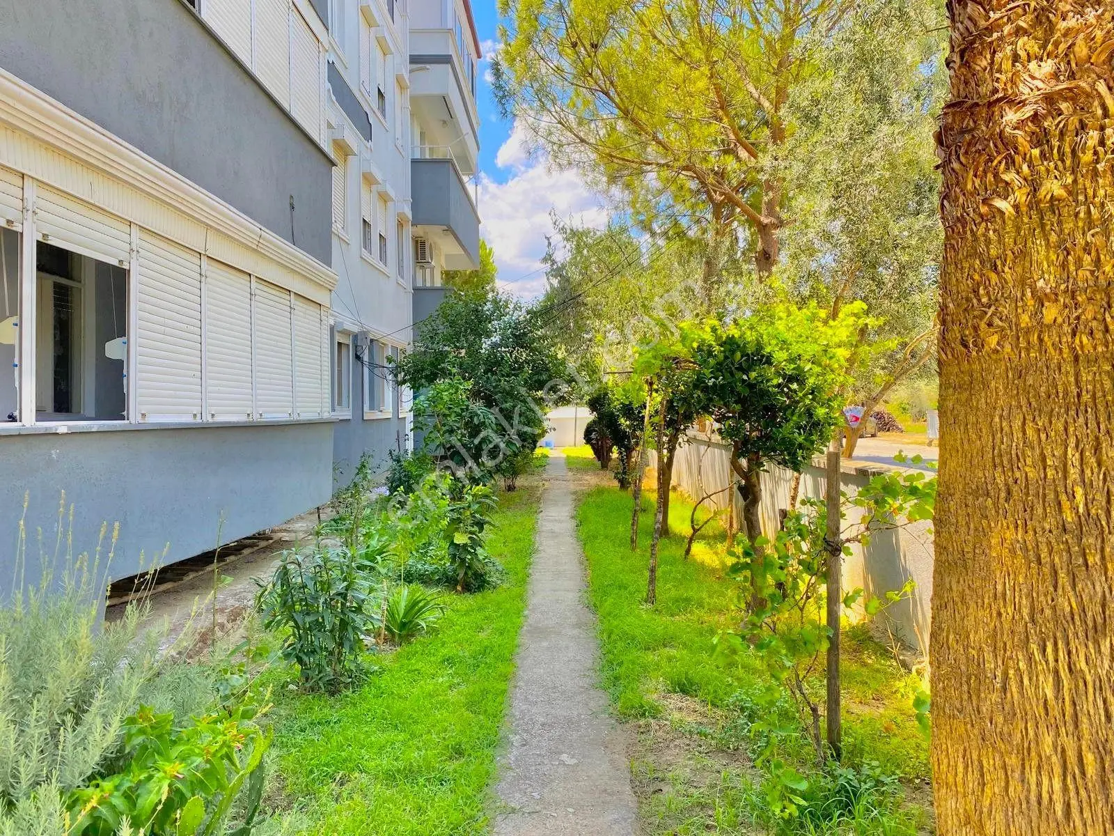 Yükselden Zeytinli Köyünde Kaçmaz Fırsat Ayrı Mutfaklı 2+1 Daire — fotoğraf 24