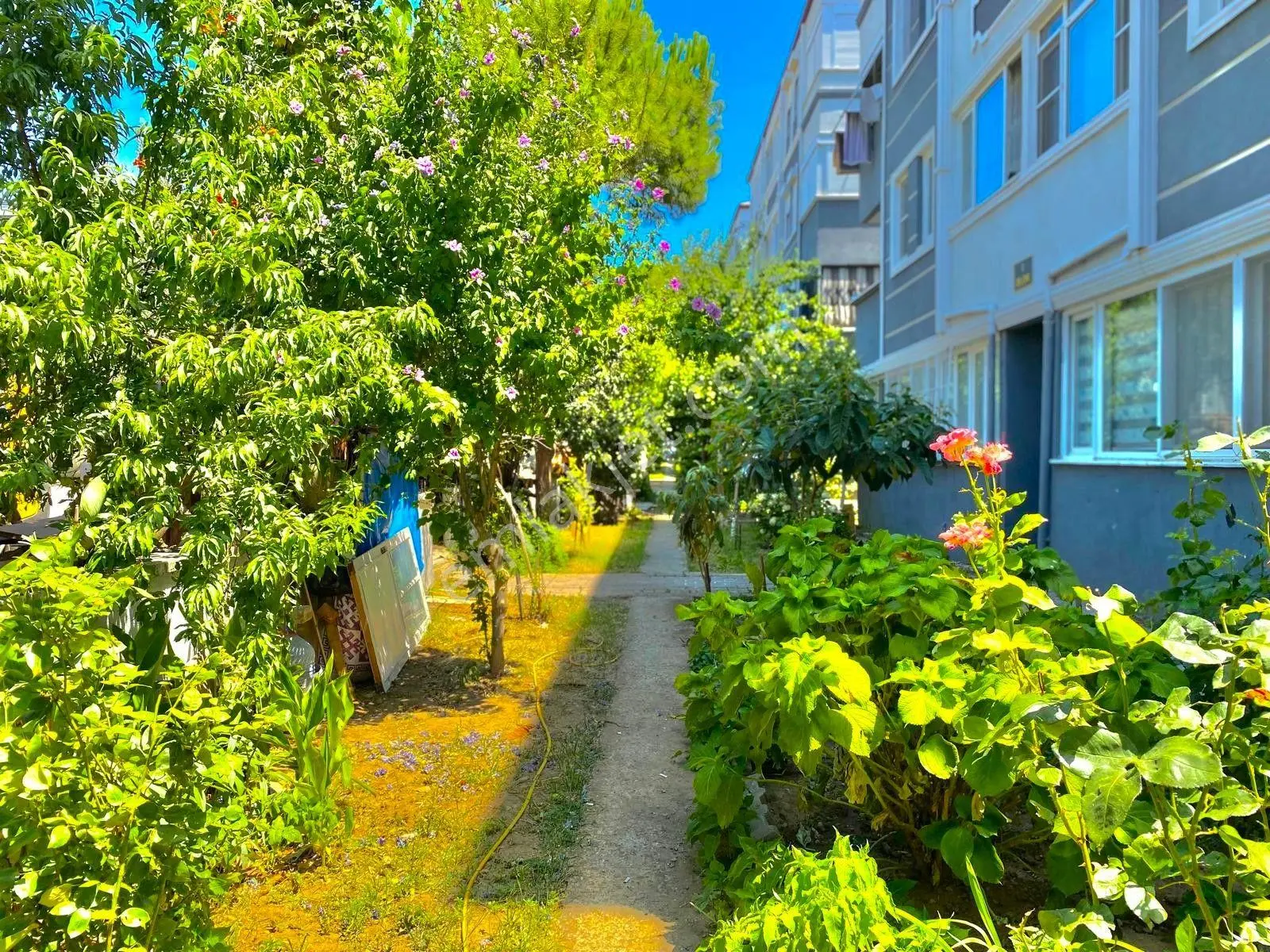 Yükselden Zeytinli Köyünde Kaçmaz Fırsat Ayrı Mutfaklı 2+1 Daire — fotoğraf 25