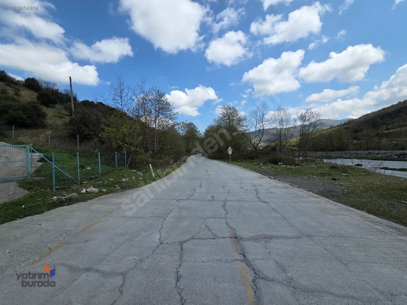 Mert Irmağı Yanı Yola Cephe Stresten Uzak Irmak Manzaralı Tarla — fotoğraf 8