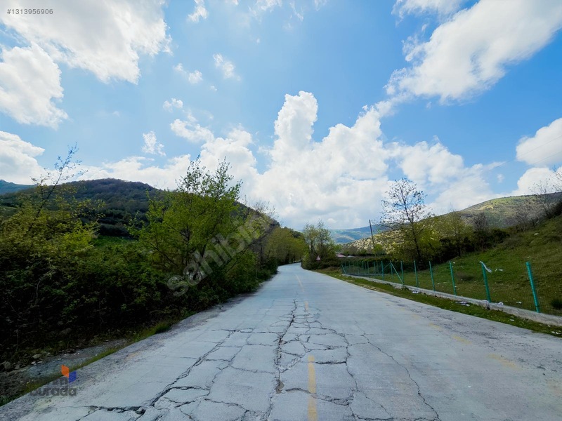 Mert Irmağı Yanı Yola Cephe Stresten Uzak Irmak Manzaralı Tarla — fotoğraf 10
