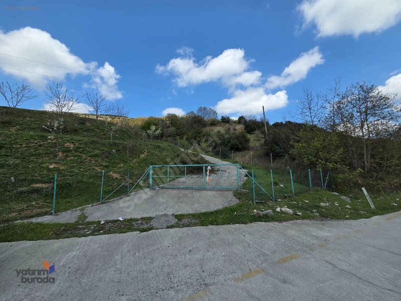 Mert Irmağı Yanı Yola Cephe Stresten Uzak Irmak Manzaralı Tarla — fotoğraf 11