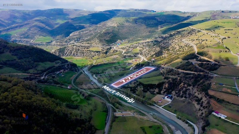 Mert Irmağı Yanı Yola Cephe Stresten Uzak Irmak Manzaralı Tarla — fotoğraf 17