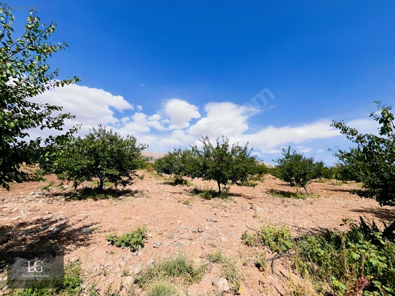 Liva Gayrimenkulden Baskile 2 Km Yola Sıfır Evli & Havuzlu — fotoğraf 6