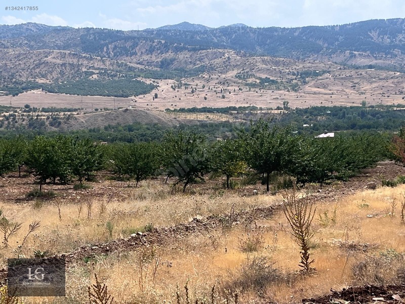 Liva Gayrimenkulden Baskile 2 Km Yola Sıfır Evli & Havuzlu — fotoğraf 14