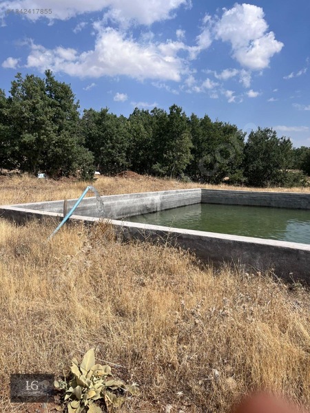 Liva Gayrimenkulden Baskile 2 Km Yola Sıfır Evli & Havuzlu — fotoğraf 16
