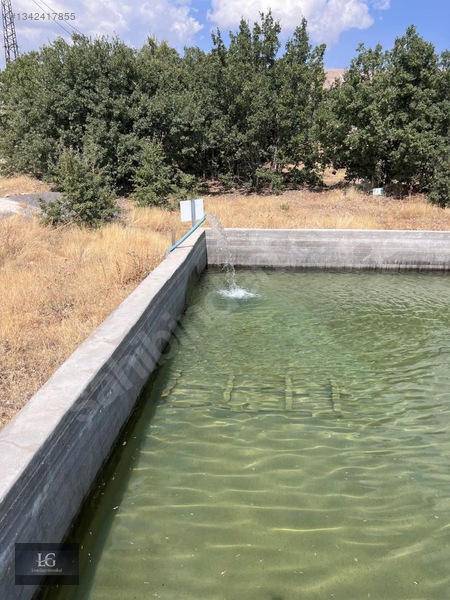 Liva Gayrimenkulden Baskile 2 Km Yola Sıfır Evli & Havuzlu — fotoğraf 17