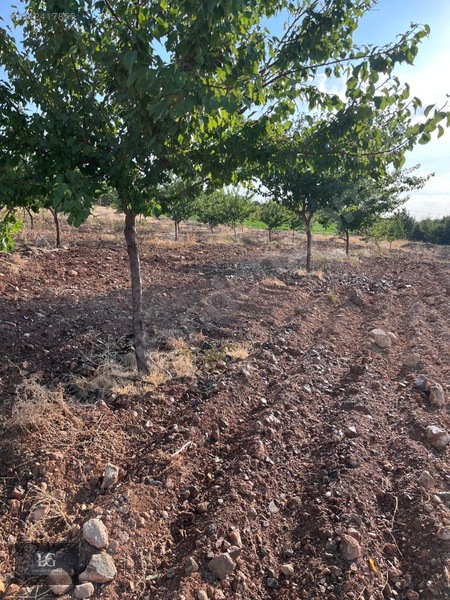 Liva Gayrimenkulden Baskile 2 Km Yola Sıfır Evli & Havuzlu — fotoğraf 18
