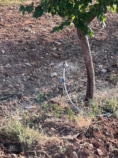 Liva Gayrimenkulden Baskile 2 Km Yola Sıfır Evli & Havuzlu — fotoğraf 19