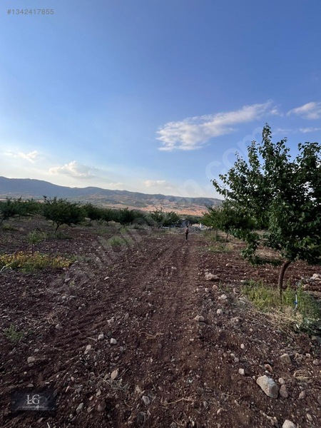 Liva Gayrimenkulden Baskile 2 Km Yola Sıfır Evli & Havuzlu — fotoğraf 22