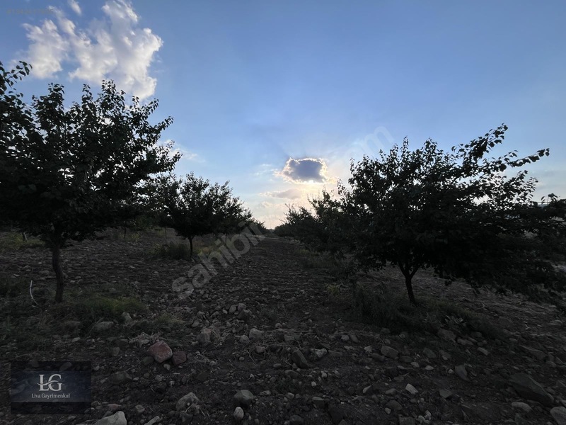 Liva Gayrimenkulden Baskile 2 Km Yola Sıfır Evli & Havuzlu — fotoğraf 23