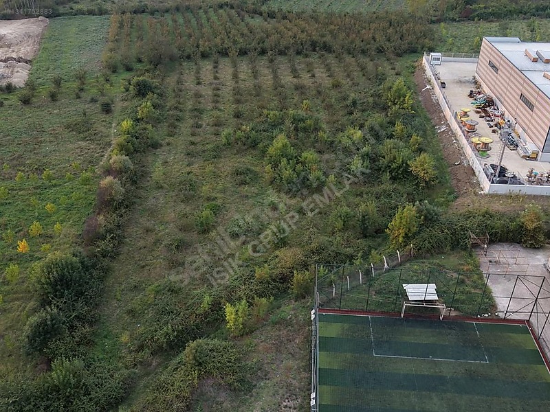Işık Gruptan Satılık Sanayi İmarlı Arsa — fotoğraf 2