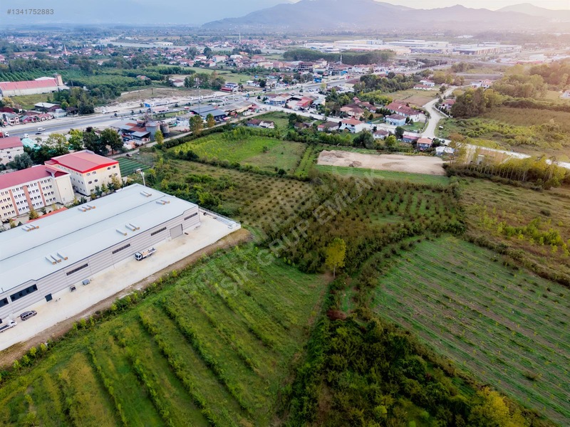 Işık Gruptan Satılık Sanayi İmarlı Arsa — fotoğraf 5