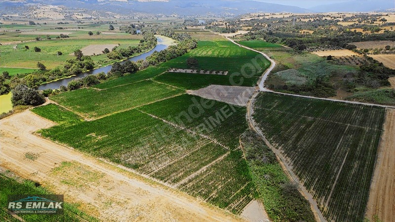 Karacabey Harmanlı'Da Satılık 7700 M² Fırsat Tarlası