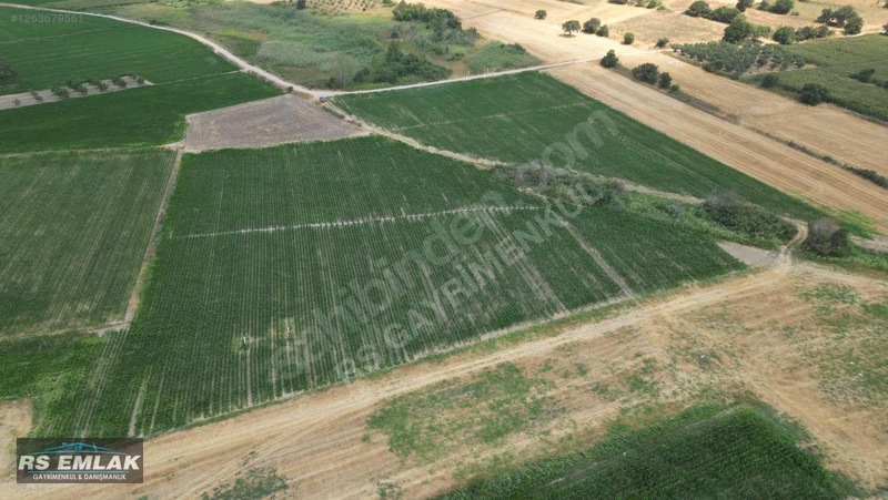 Karacabey Harmanlı'da Satılık 7700 M² Fırsat Tarlası — fotoğraf 3