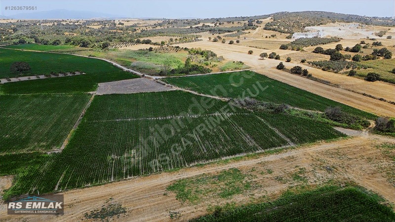 Karacabey Harmanlı'da Satılık 7700 M² Fırsat Tarlası — fotoğraf 4