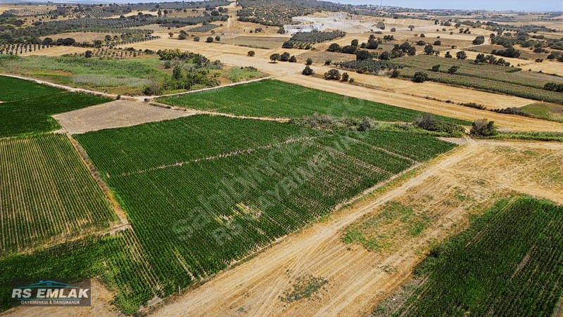 Karacabey Harmanlı'da Satılık 7700 M² Fırsat Tarlası — fotoğraf 5