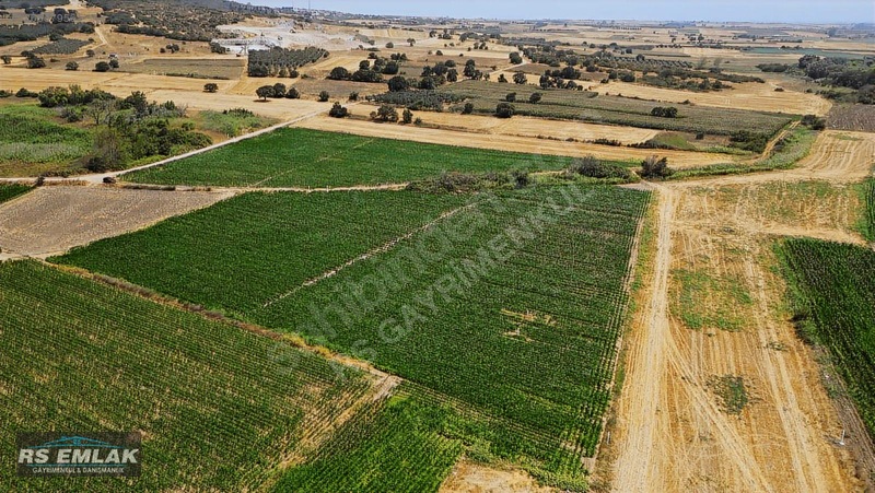 Karacabey Harmanlı'da Satılık 7700 M² Fırsat Tarlası — fotoğraf 6