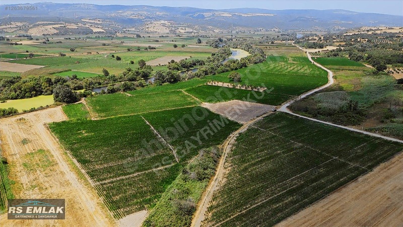 Karacabey Harmanlı'da Satılık 7700 M² Fırsat Tarlası — fotoğraf 10