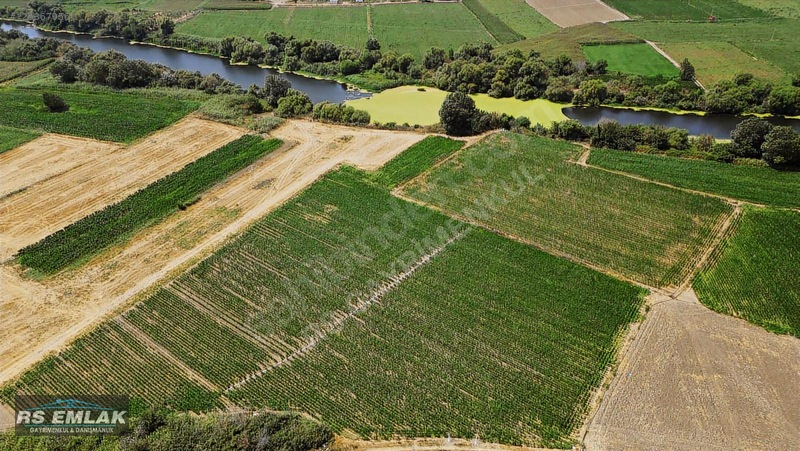 Karacabey Harmanlı'da Satılık 7700 M² Fırsat Tarlası — fotoğraf 11
