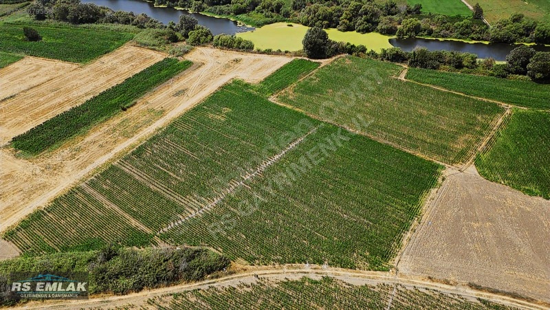 Karacabey Harmanlı'da Satılık 7700 M² Fırsat Tarlası — fotoğraf 12