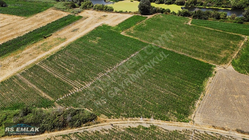 Karacabey Harmanlı'da Satılık 7700 M² Fırsat Tarlası — fotoğraf 13