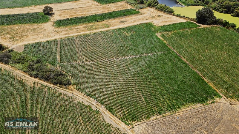 Karacabey Harmanlı'da Satılık 7700 M² Fırsat Tarlası — fotoğraf 14