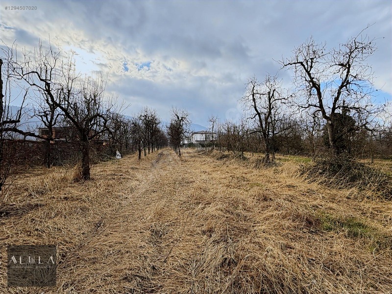 Kartepe Maşukiye'de Satılık %20 İmarlı Net 706m2 Arsa — fotoğraf 3