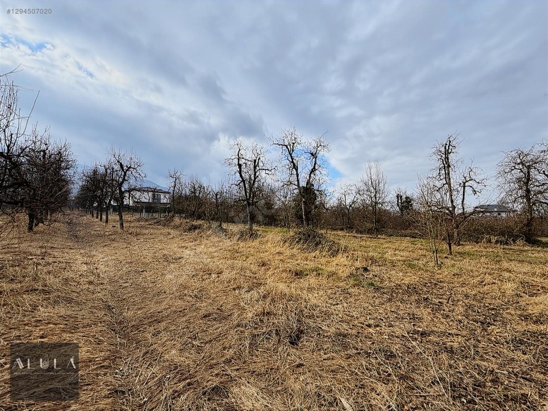 Kartepe Maşukiye'de Satılık %20 İmarlı Net 706m2 Arsa — fotoğraf 5