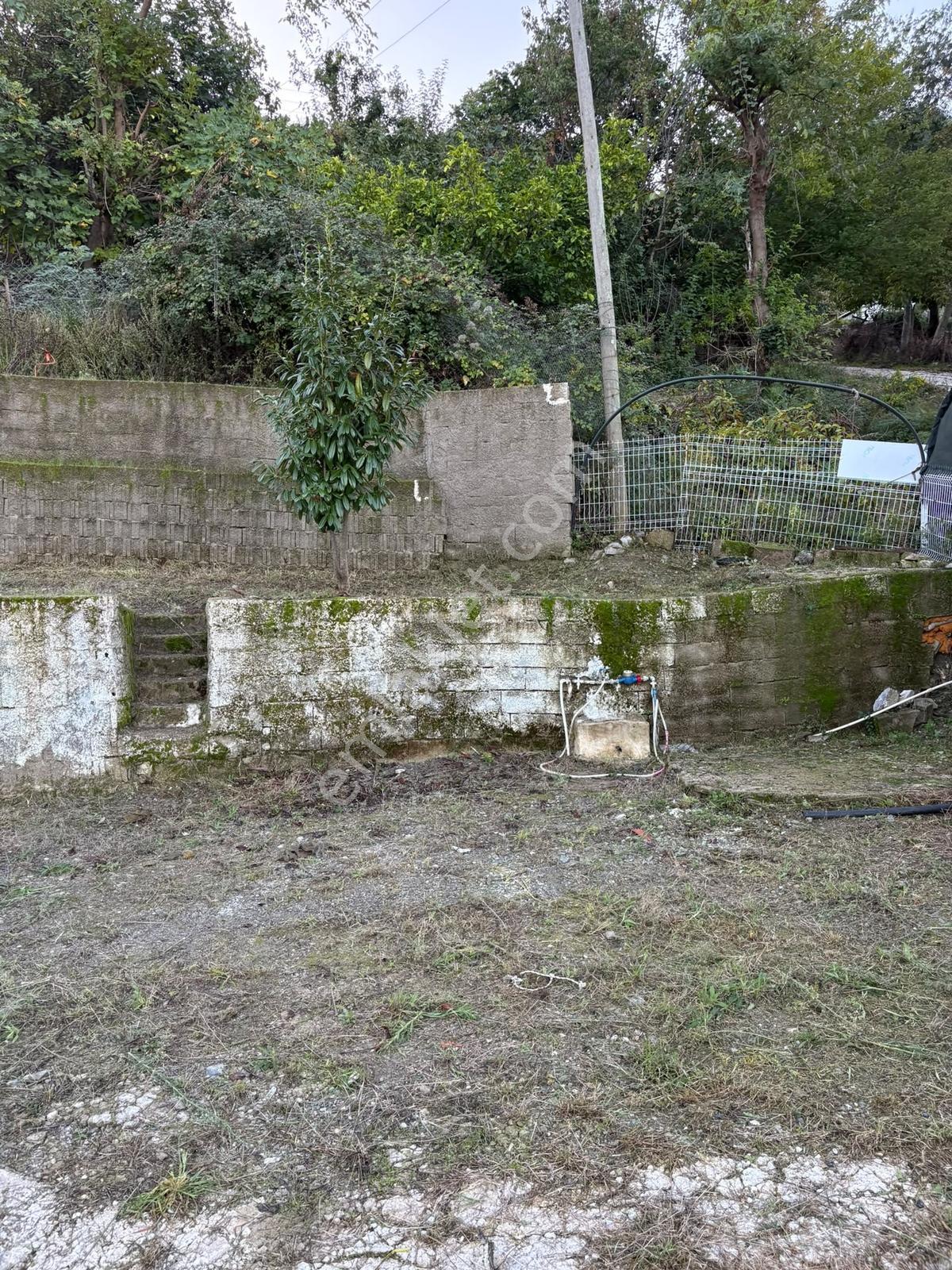Alanya Dim Vadisinde Müstakil Göl Manzaralı Bahçeli Ev — fotoğraf 25