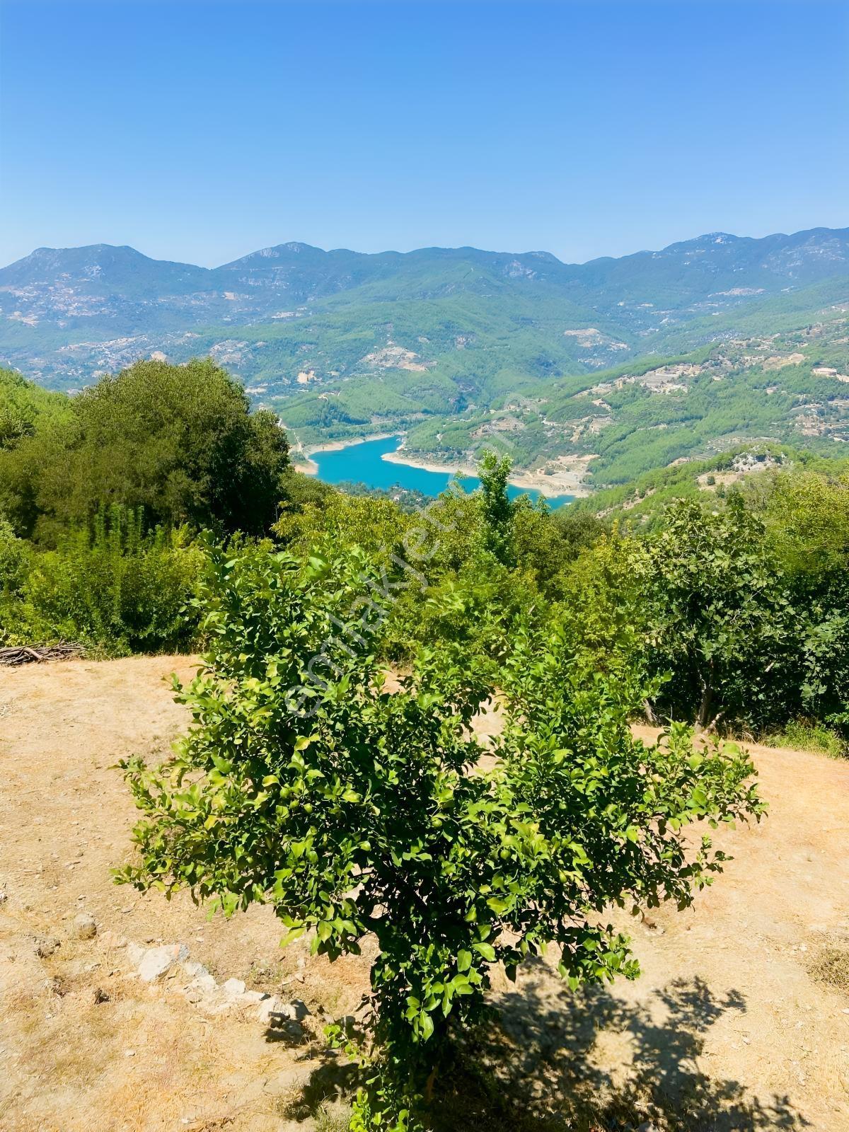 Alanya Dim Vadisinde Müstakil Göl Manzaralı Bahçeli Ev — fotoğraf 33