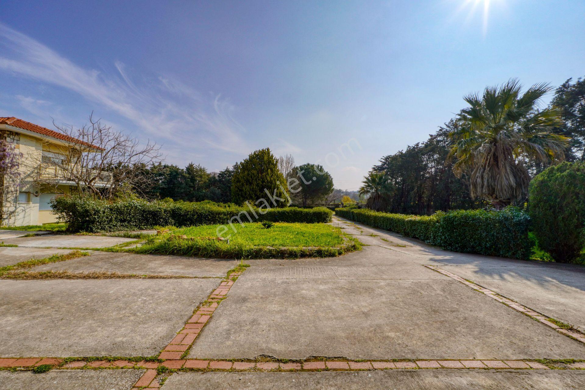 Urla Merkeze Yürüme Mesafesinde 8698 M2 İçerisinde Harika Yaşam — fotoğraf 3