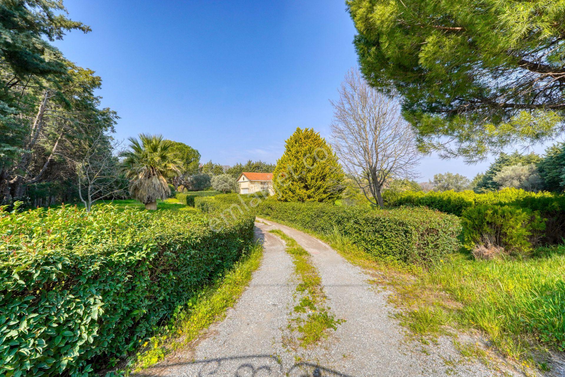 Urla Merkeze Yürüme Mesafesinde 8698 M2 İçerisinde Harika Yaşam — fotoğraf 5