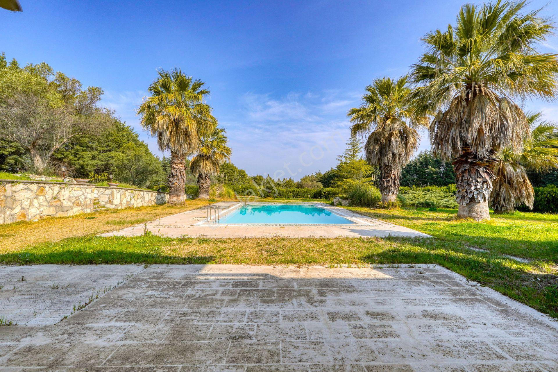 Urla Merkeze Yürüme Mesafesinde 8698 M2 İçerisinde Harika Yaşam — fotoğraf 6