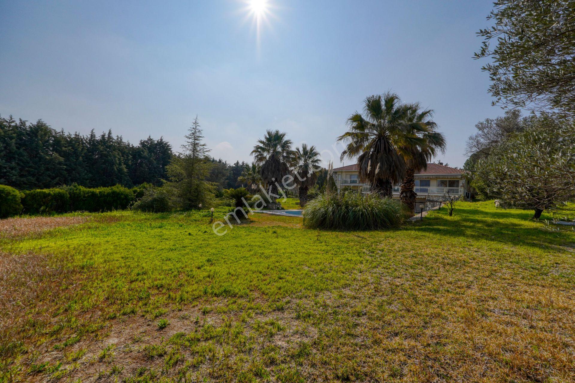 Urla Merkeze Yürüme Mesafesinde 8698 M2 İçerisinde Harika Yaşam — fotoğraf 8