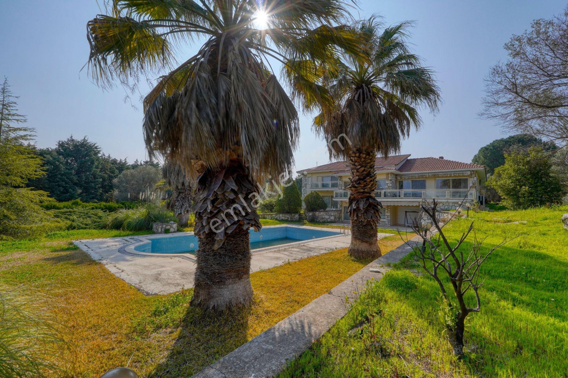 Urla Merkeze Yürüme Mesafesinde 8698 M2 İçerisinde Harika Yaşam — fotoğraf 9
