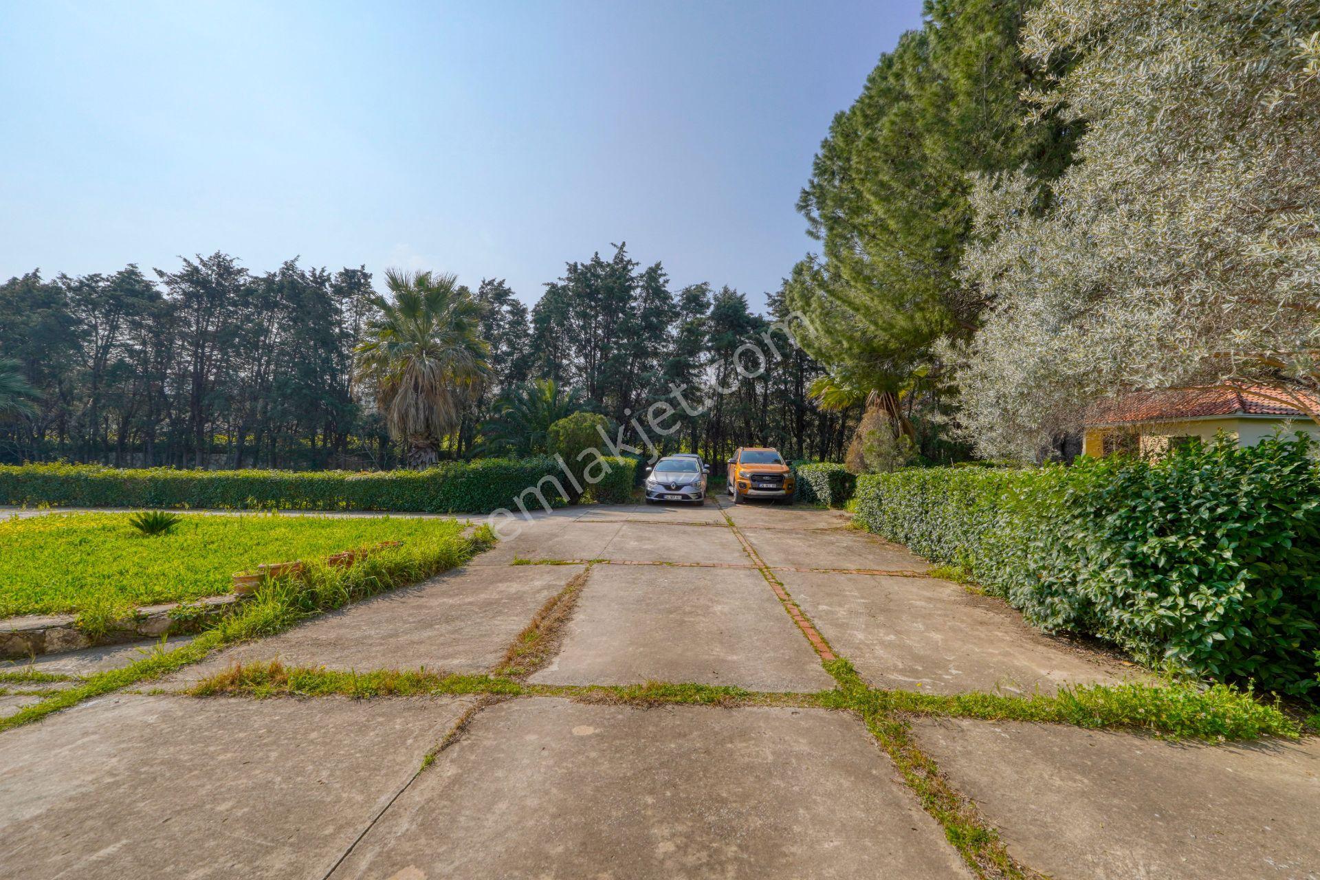 Urla Merkeze Yürüme Mesafesinde 8698 M2 İçerisinde Harika Yaşam — fotoğraf 10