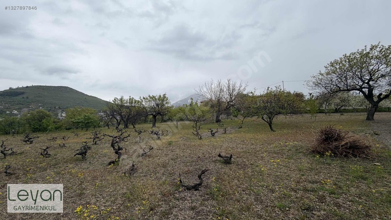 Hacılar Aşağı 2adet Satılık Yanyana Villa Parseli — fotoğraf 6