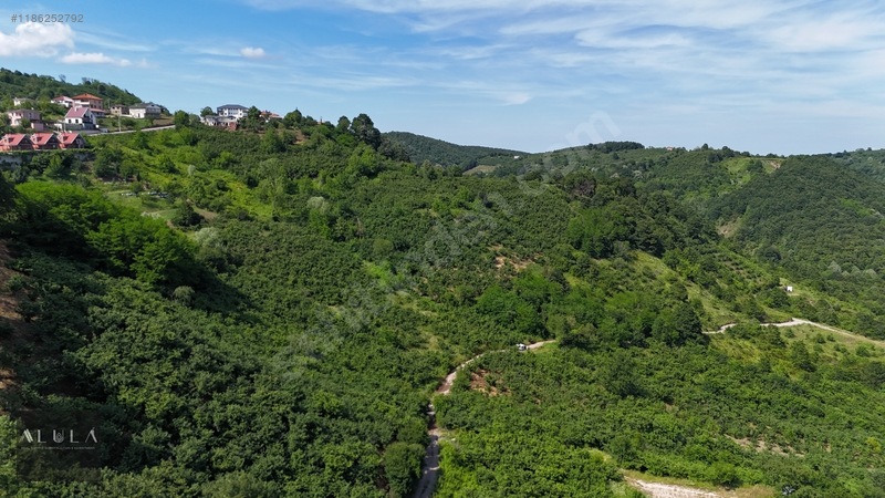 Eşmeahmediye'de 2.295m2 %5 İmarlı Satılık Fındık Bahçesi — fotoğraf 2