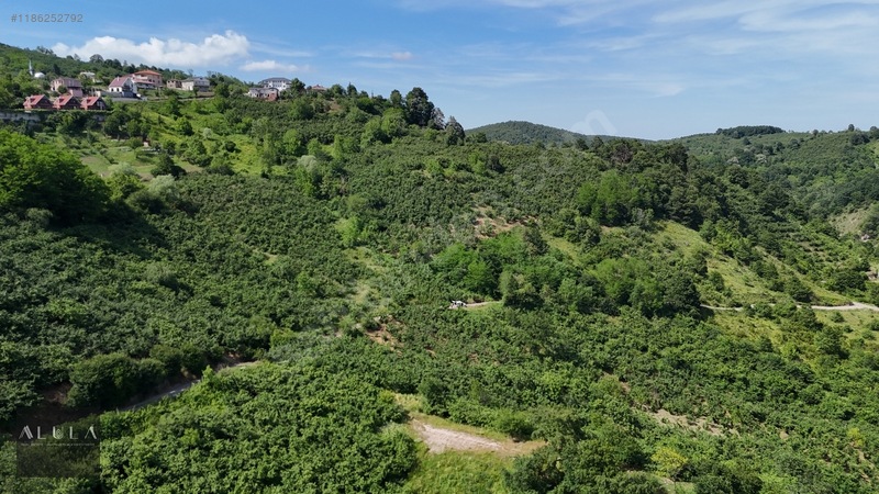 Eşmeahmediye'de 2.295m2 %5 İmarlı Satılık Fındık Bahçesi — fotoğraf 3